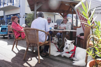 kleine Pause in Trassenheide